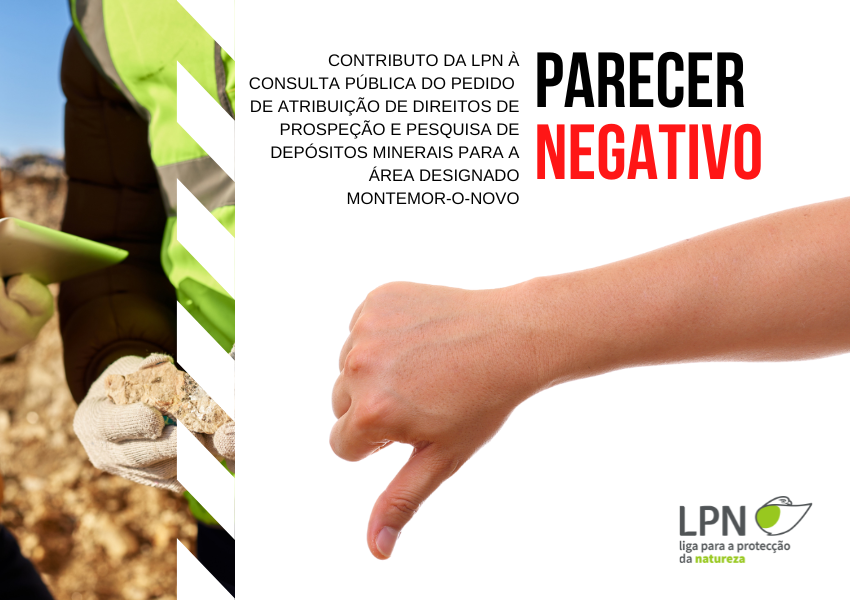 Montemor<br>Parecer negativo